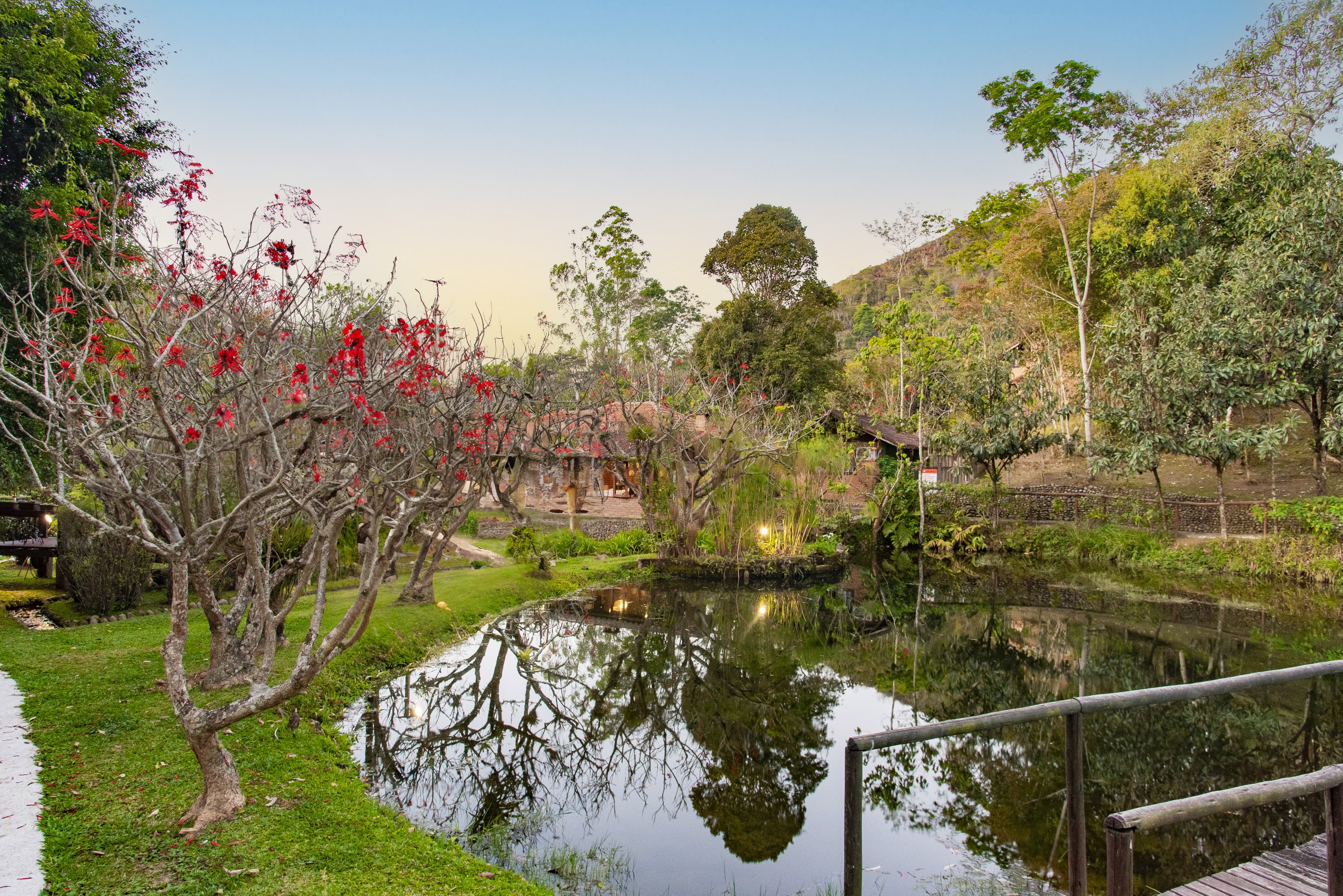 Lago da pousada com árvore florida e ponte de madeira ao entardecer