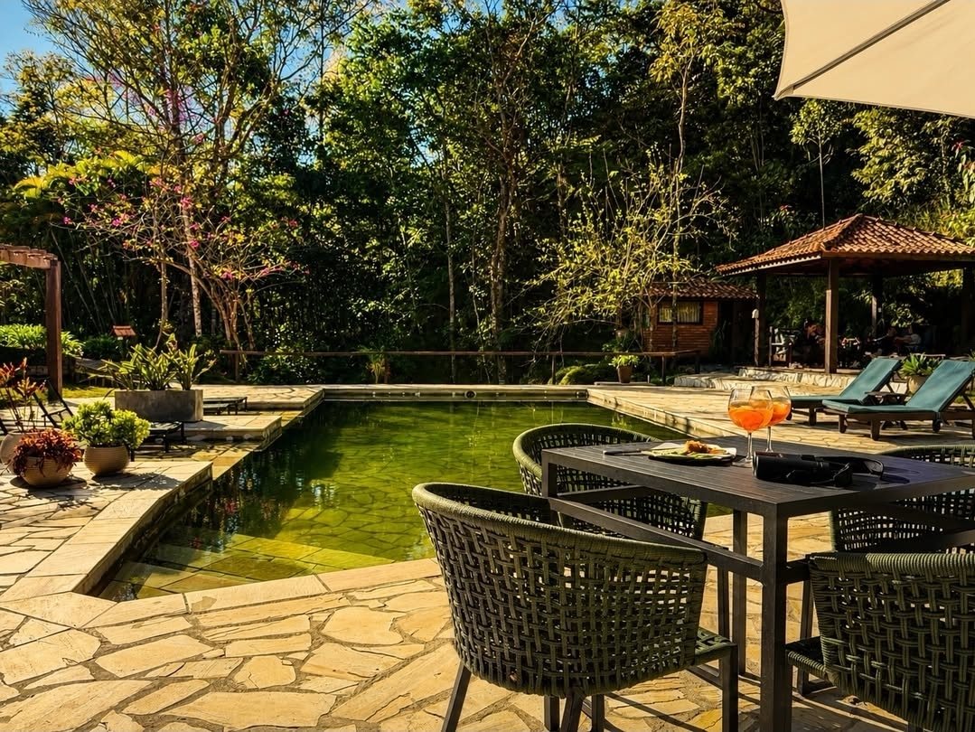 Piscina natural cercada por pedras e jardim em dia de sol