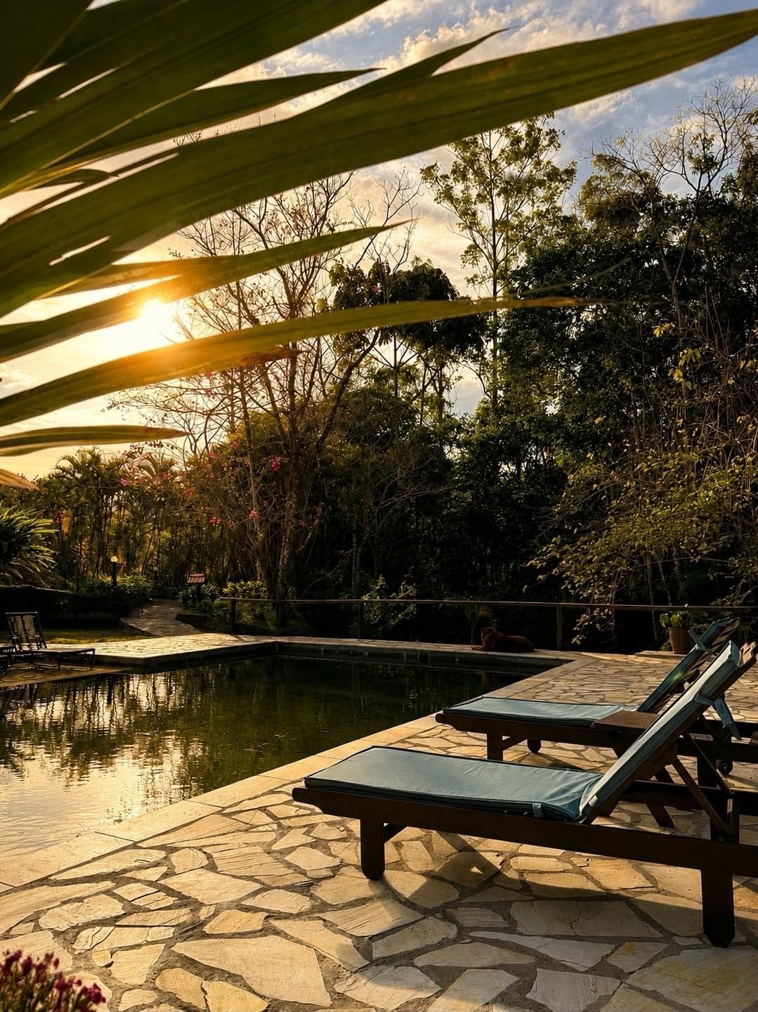 Piscina natural ao pôr do sol com espreguiçadeiras
